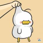 sean zhang Profile Picture