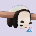 Suzhou Texnet Profile Picture